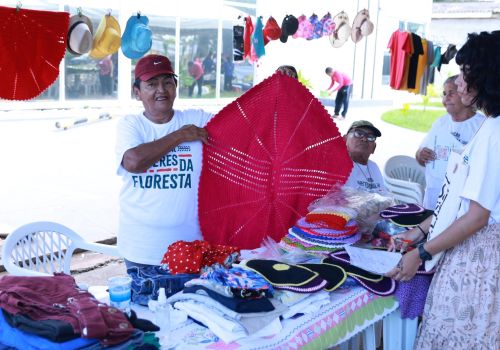 Festival Saberes da Floresta 2 Edio 