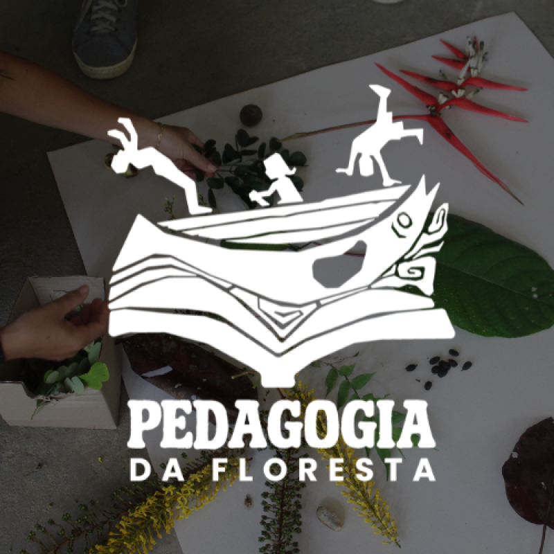 Pedagogia da Floresta